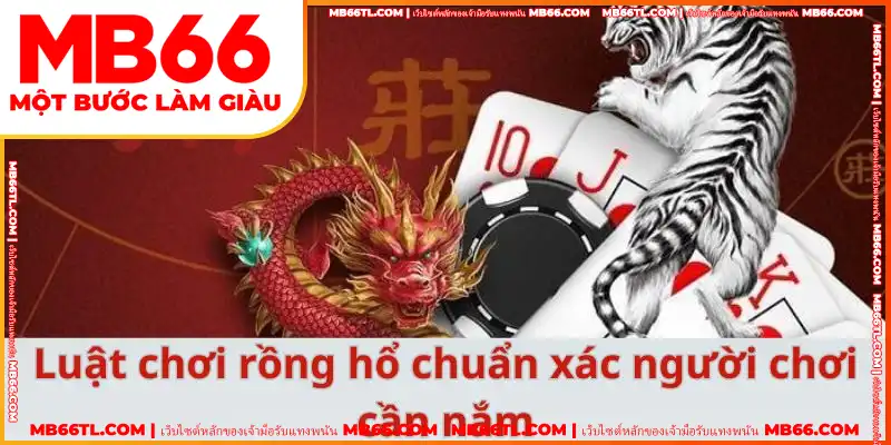 กติกาการเล่น Dragon Tiger ที่ถูกต้องที่ผู้เล่นต้องทราบ กติกาการเล่น Dragon Tiger ที่ถูกต้องที่ผู้เล่นต้องทราบ