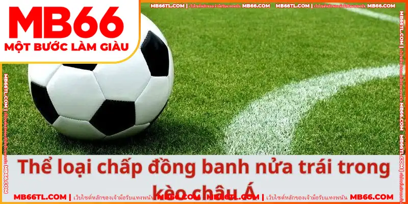 ประเภทของการต่อเสมอควบครึ่งในราคาต่อรองแบบเอเชีย ประเภทของการต่อเสมอควบครึ่งในราคาต่อรองแบบเอเชีย