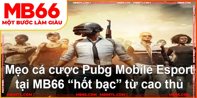 เคล็ดลับการเดิมพัน Pubg Mobile Esport รับประกันผลกำไร